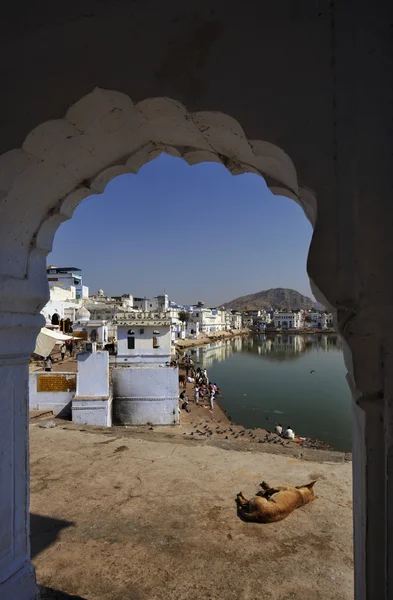 Індія, Раджастхан, Пушкар, видом на місто і священні озера — стокове фото