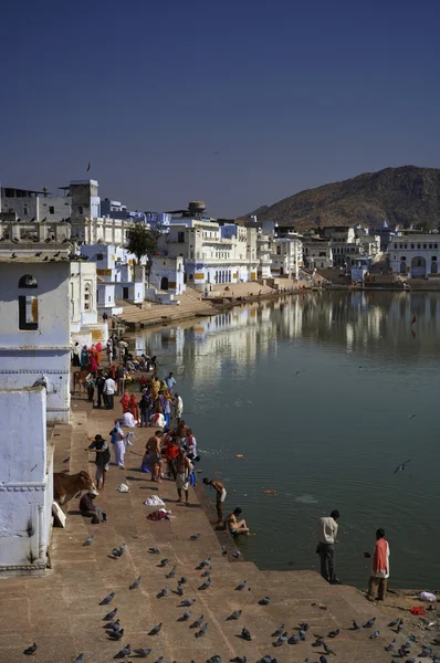 India, rajasthan, pushkar, Indiase pelgrims Neem een bad in het heilige meer — Stockfoto