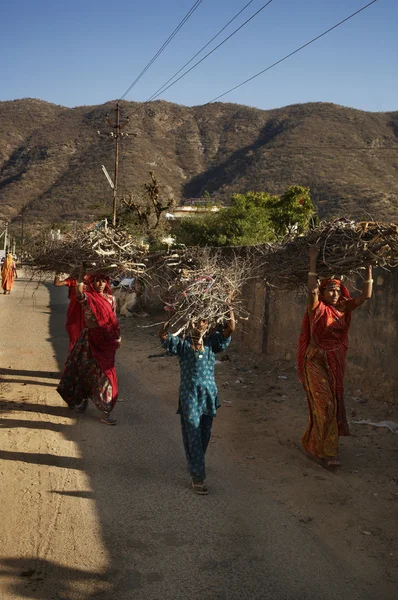 Indian women carrying wood branchs on their heads — Stock Photo, Image