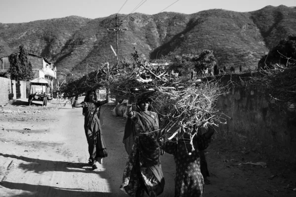 Mulheres indianas carregando ramos de madeira em suas cabeças — Fotografia de Stock