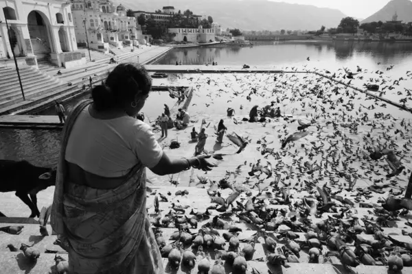 Una mujer india está alimentando a las palomas en las escaleras del lago sagrado —  Fotos de Stock