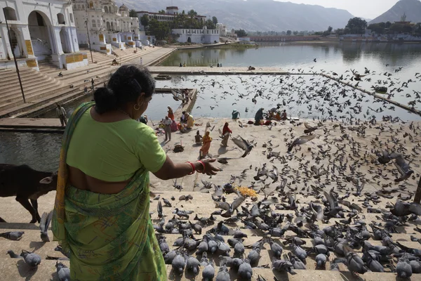 Una mujer india está alimentando a las palomas en las escaleras del lago sagrado —  Fotos de Stock