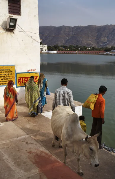 Pellegrini indiani camminano verso il lago sacro — Foto Stock