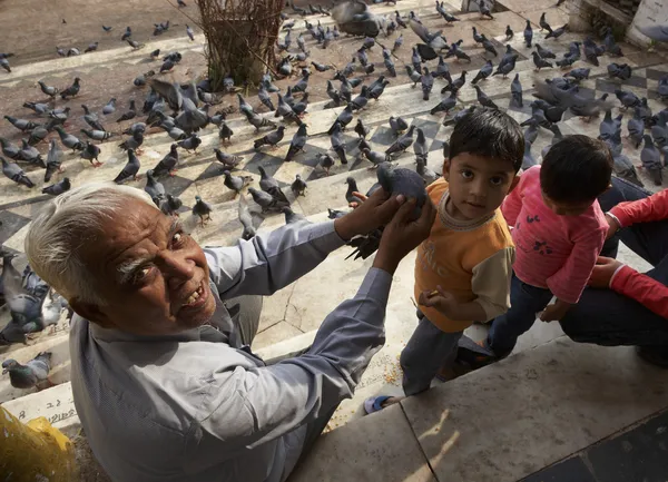 Père et fils, des pigeons sur les marches — Photo