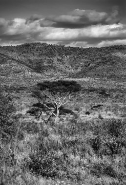 Kenya, taita hills milli park, park'ın panoramik manzarasını