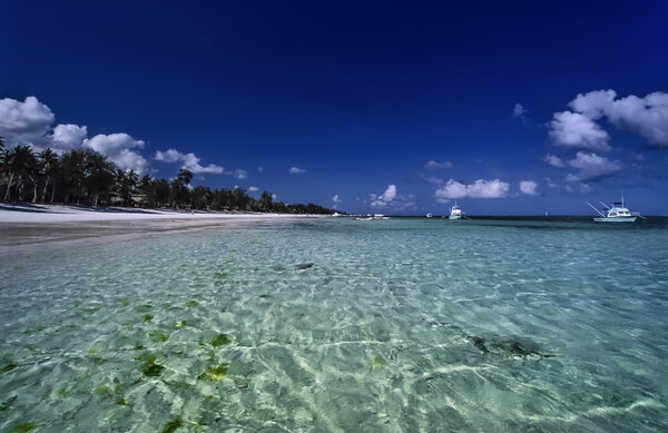Kenya, Indian ocean, Malindi, view of the beach