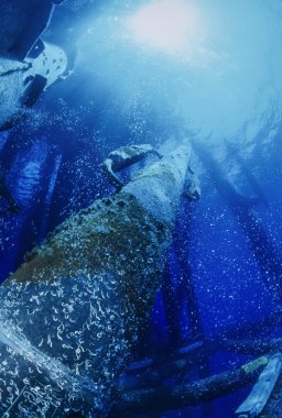 İtalya, Sicilya kanal, offshore petrol platformu vega, uw fotoğraf