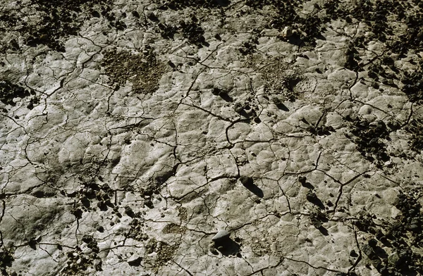 USA, Arizona, Death Valley, dry land — Stock Photo, Image