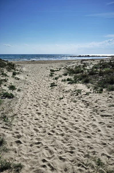 Southern sandy coastline — Stock Photo, Image
