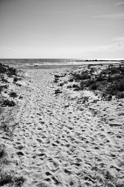 Южное песчаное побережье — стоковое фото