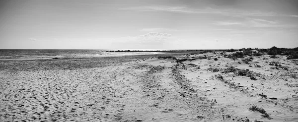 南部の砂浜の海岸線 — ストック写真