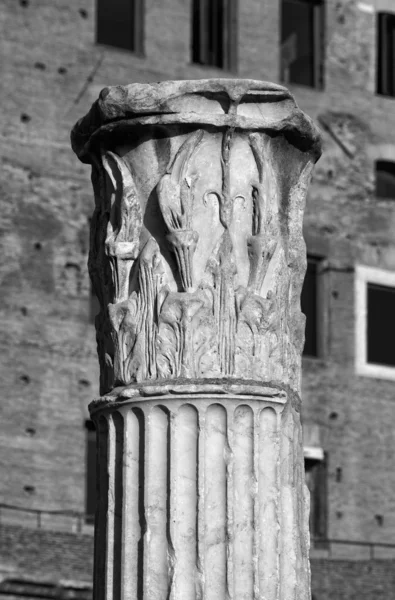 Roman column — Stock Photo, Image