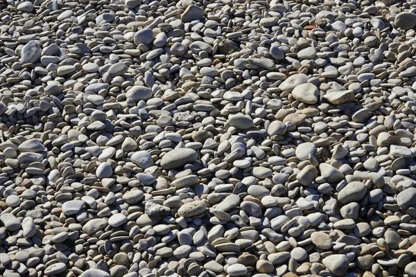 River stones closeup — Stock Photo, Image