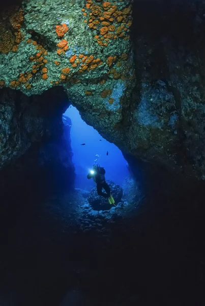 Cave dykning, scuba diver — Stockfoto