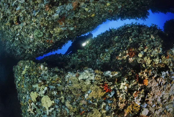 Plongée dans une grotte, plongée sous-marine — Photo