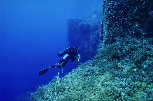 Plongée sous-marine — Photo