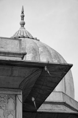 Kırmızı Kale, diwan-i-am