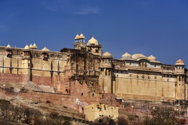 amber fort