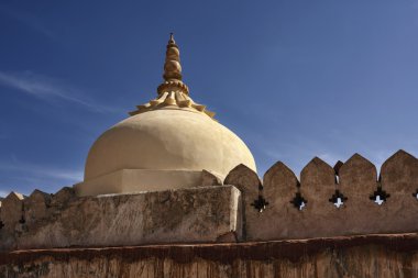 amber fort