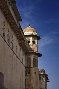 amber fort