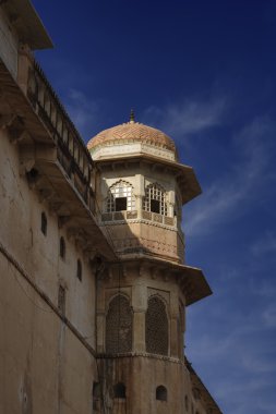 amber fort