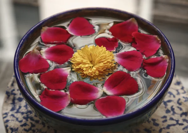 물이 가득한 그릇에 장미 꽃잎 — 스톡 사진