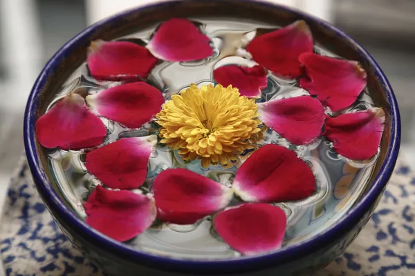 Rose petals in a bowl full of water — Stock Photo, Image