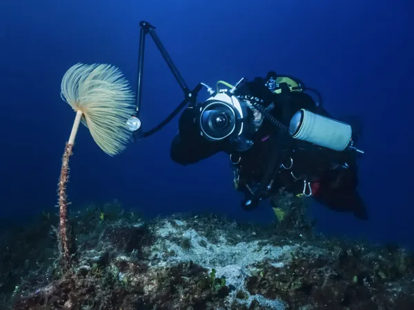 Fotógrafo submarino tomando fotos de una nudirama — Foto de Stock