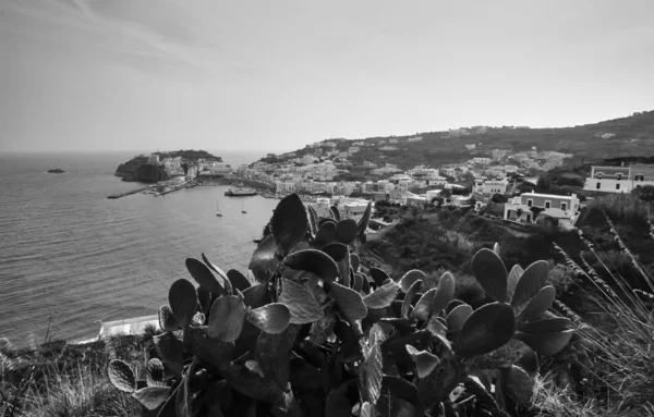 Vista panorâmica do porto — Fotografia de Stock