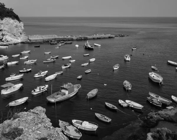 Fishing boats — Stock Photo, Image