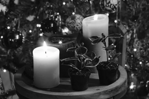 Bougies et décorations d'arbres de Noël — Photo