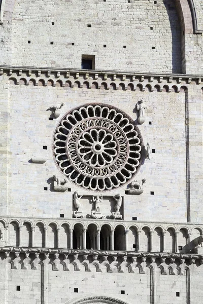 Italy, Umbria, Assisi, neoclassic St. Rufino Cathedral facade — Stock Photo, Image