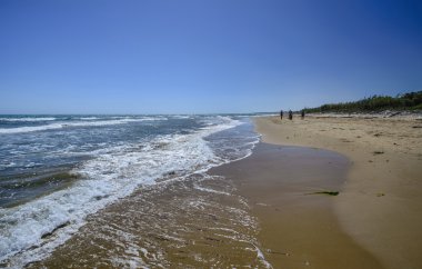 Kumsalda yürüyen insanlar