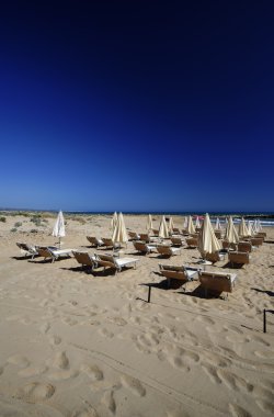 şezlong ve plaj şemsiyeleri