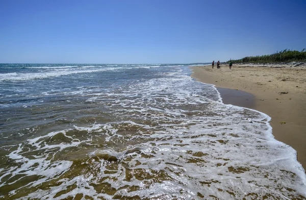 Menschen gehen am Strand spazieren — Stockfoto