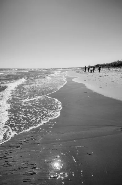 Människor gå på stranden — Stockfoto