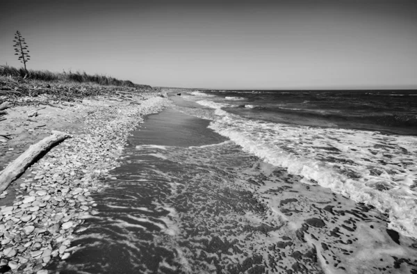 남쪽 모래 해안선 플 라 야 그란데 — 스톡 사진