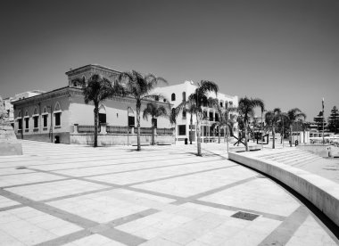 palmiye ağaçları ile deniz manzarası