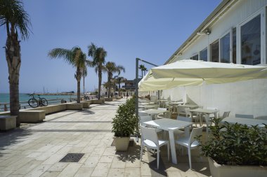 palmiye ağaçları ile deniz manzarası