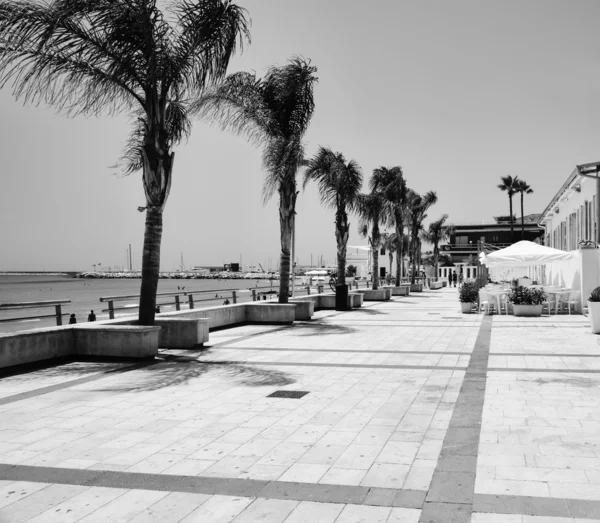 Blick auf die Strandpromenade mit Palmen — Stockfoto