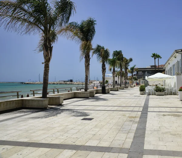 Uitzicht op de boulevard met palmbomen — Stockfoto