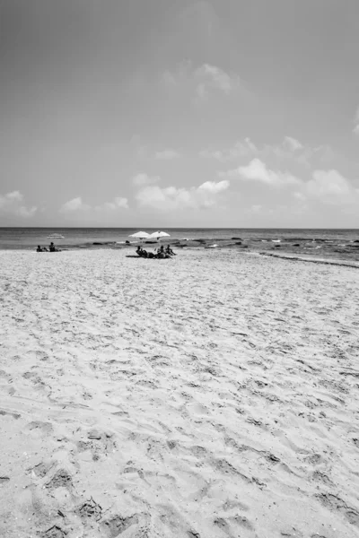 Gente en la playa — Foto de Stock