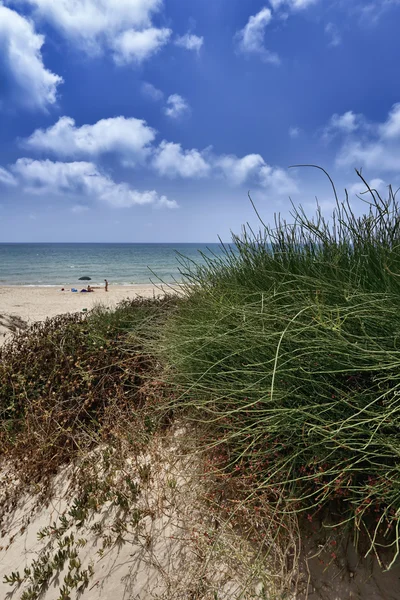 Människor på stranden — Stockfoto