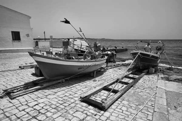 Pescadores trabajando en tierra — Foto de Stock