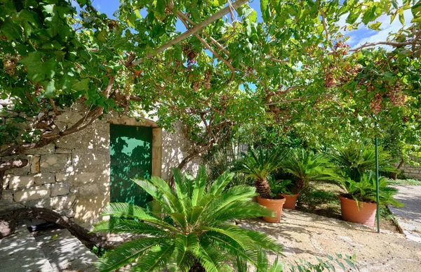 Italy Sicily Modica Ragusa Province Countryside Plants Stone Farm House — Stock Photo, Image