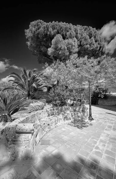 Italy Sicily Modica Ragusa Province Countryside Plants Trees Stone Farm — Stock Photo, Image