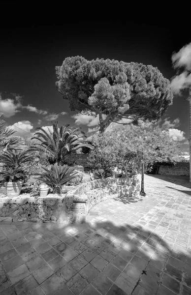 Italy Sicily Modica Ragusa Province Countryside Plants Trees Stone Farm — Stock Photo, Image