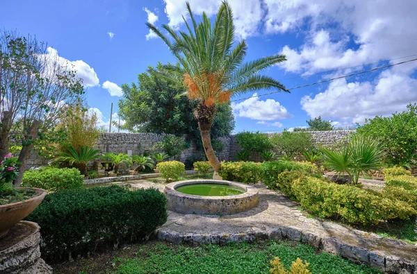 イタリア シチリア島 モディカ ラグーザ州 植物や石の農家の庭の木 — ストック写真