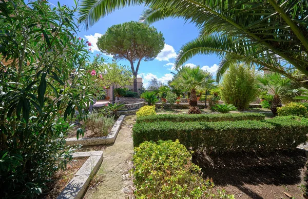 Italie Sicile Modica Province Raguse Campagne Plantes Arbres Dans Une — Photo