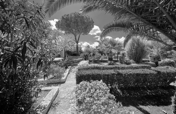 Itálie Sicílie Modica Provincie Ragusa Krajina Rostliny Stromy Kamenné Zahradě — Stock fotografie